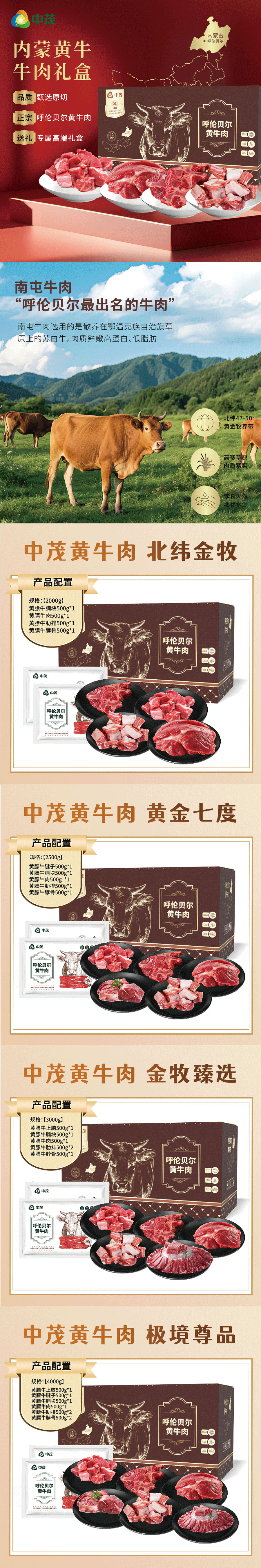 中茂黄牛