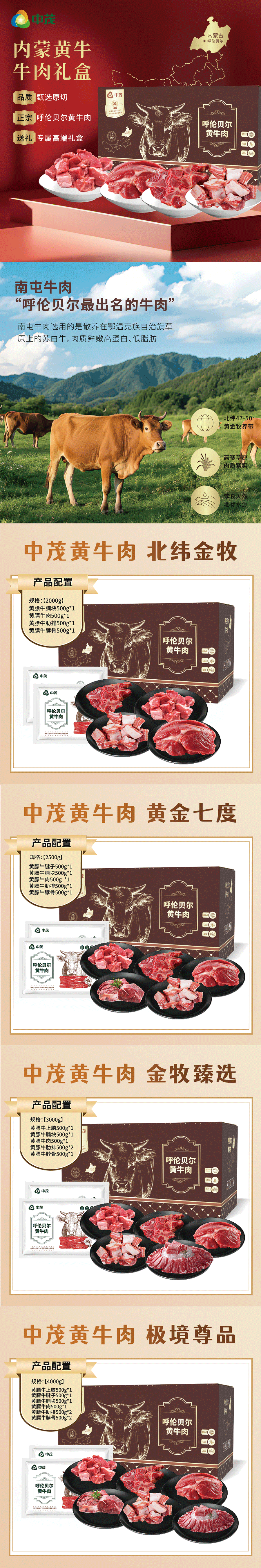 中茂黄牛